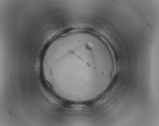 X0000110970448200907101352