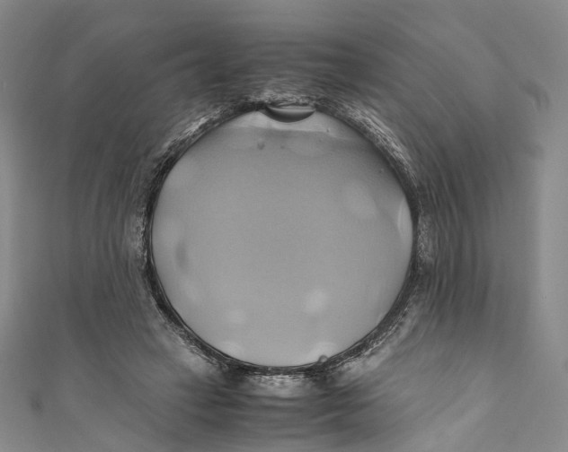 X0000110970449200907101352