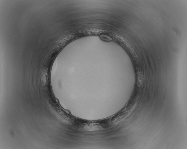 X0000110970451200907101352