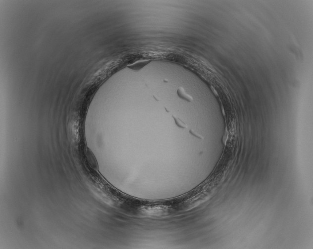 X0000110970452200907101352