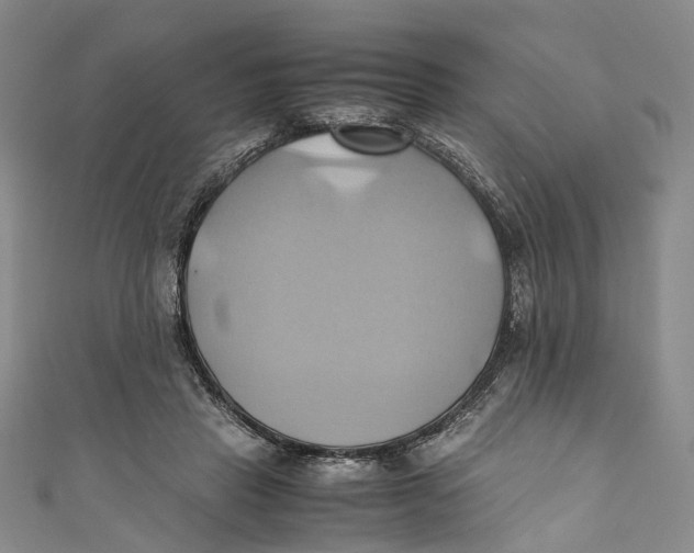 X0000110970453200907101352