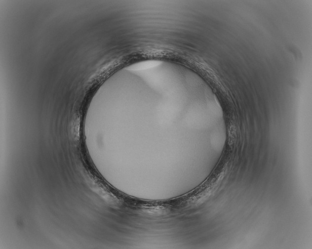 X0000110970454200907101352