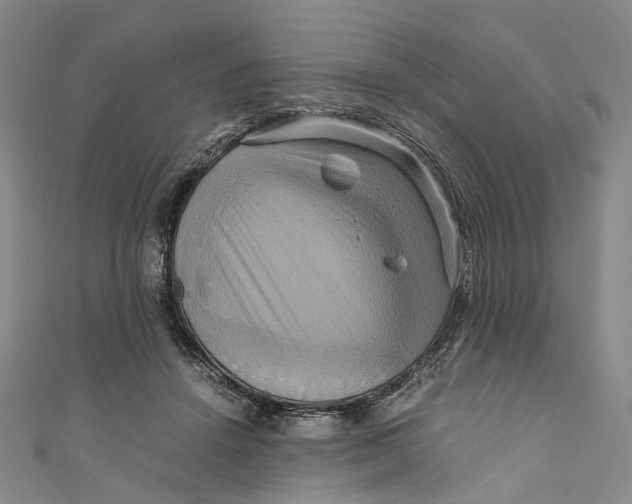 X0000110970456200907101352