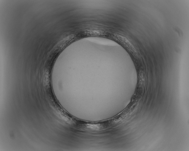 X0000110970457200907101352