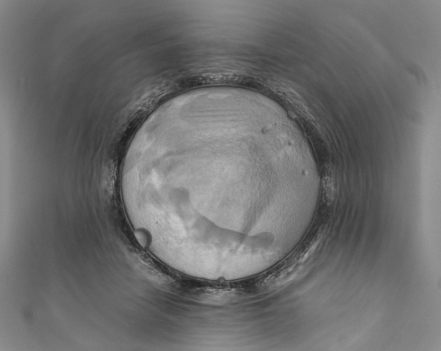 X0000110970458200907101352