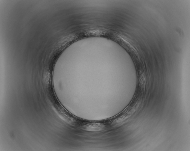 X0000110970459200907101352