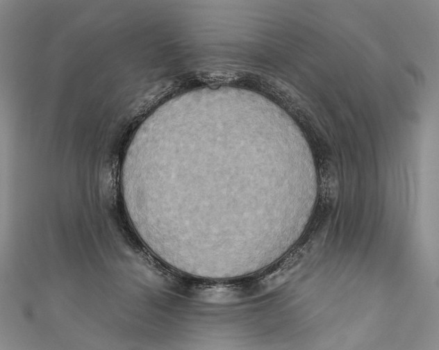 X0000110970460200907101352