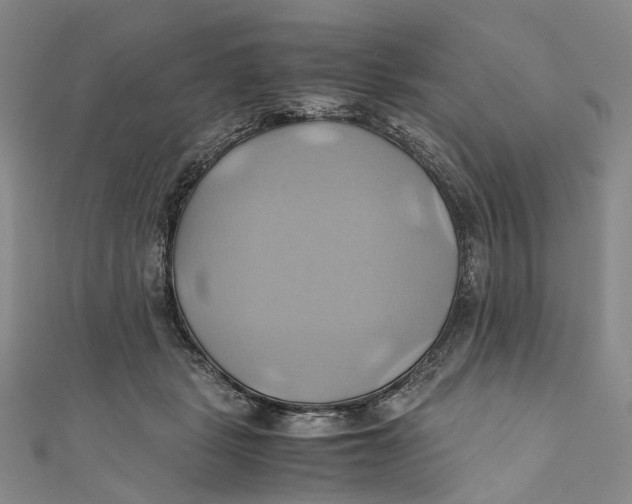 X0000110970461200907101352