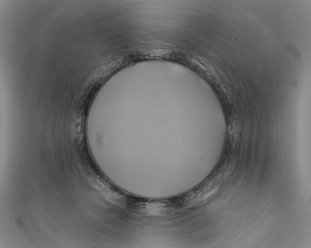 X0000110970462200907101352