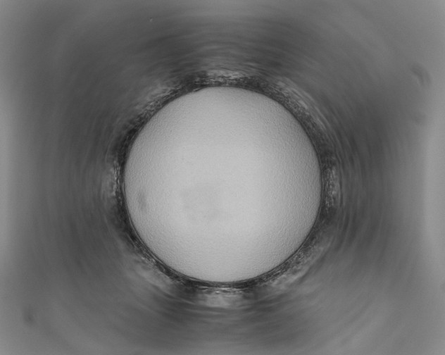 X0000110970463200907101352