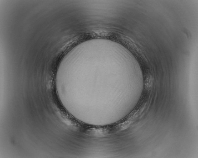 X0000110970464200907101352