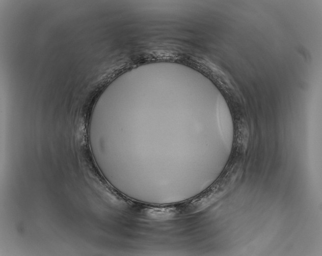 X0000110970465200907101352