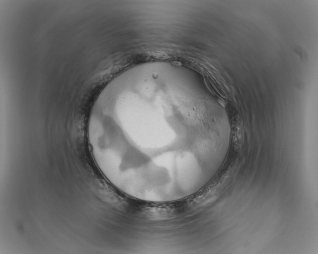 X0000110970466200907101352