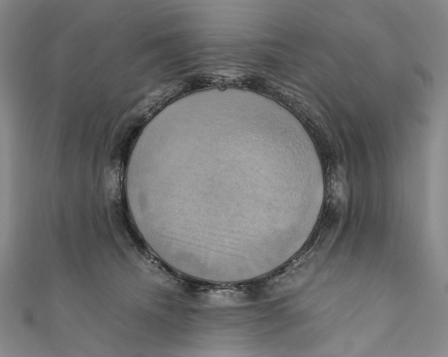 X0000110970468200907101352