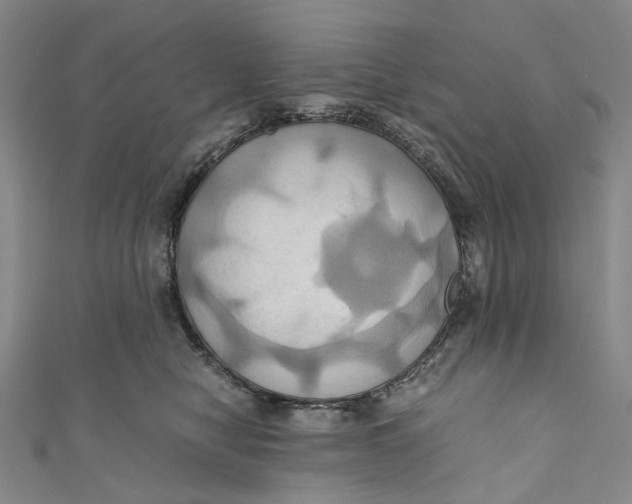 X0000110970470200907101352