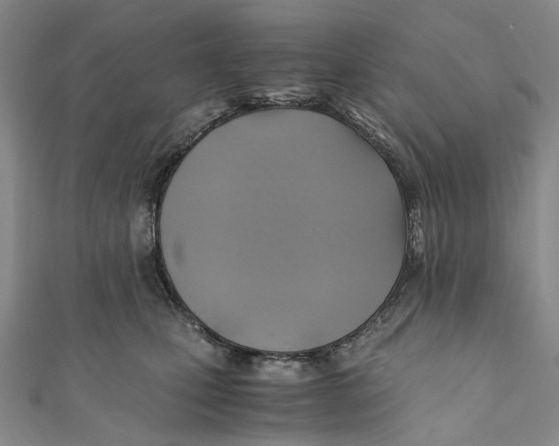 X0000110970471200907101352