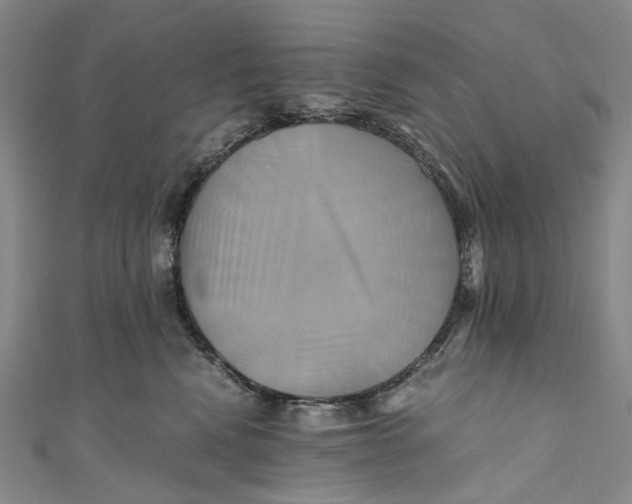 X0000110970472200907101352