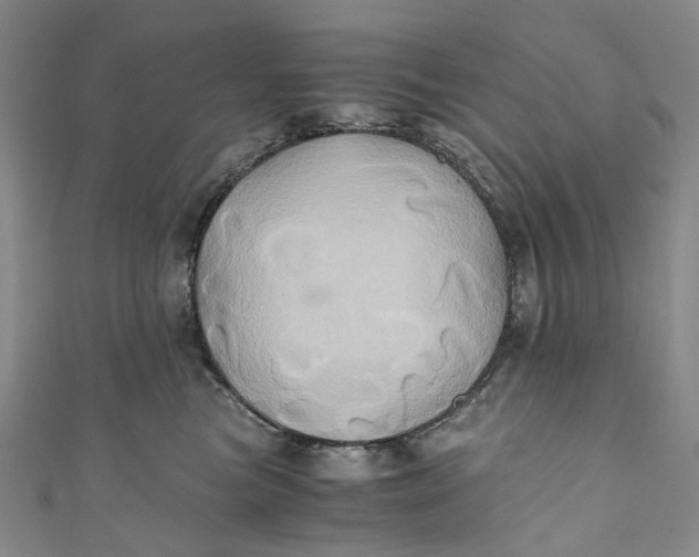 X0000110970473200907101352