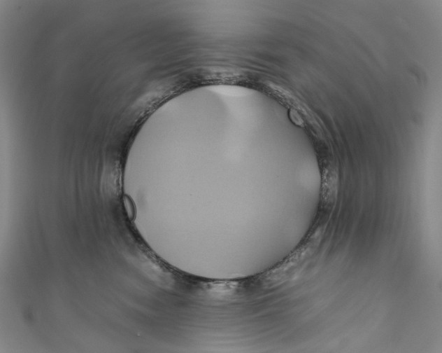 X0000110970474200907101352