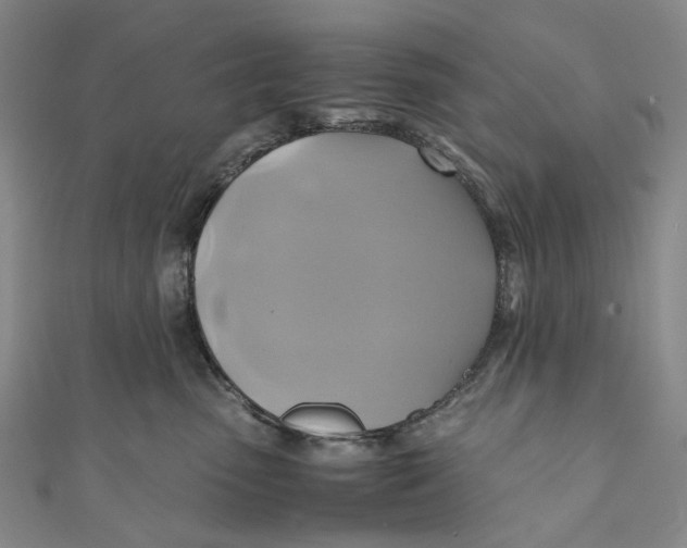 X0000110970475200907101352