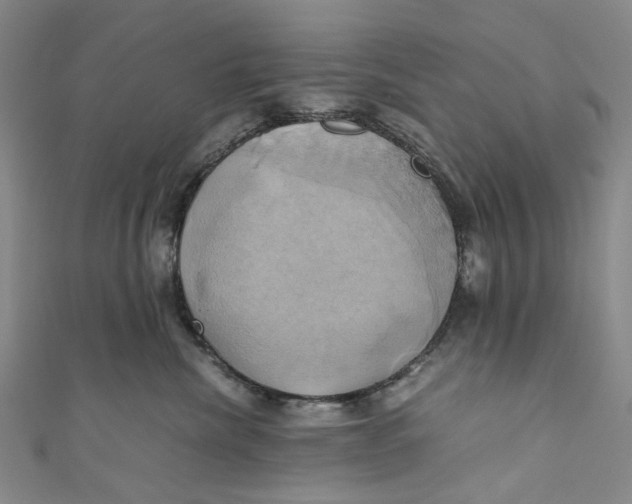 X0000110970476200907101352