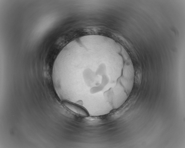 X0000110970477200907101352