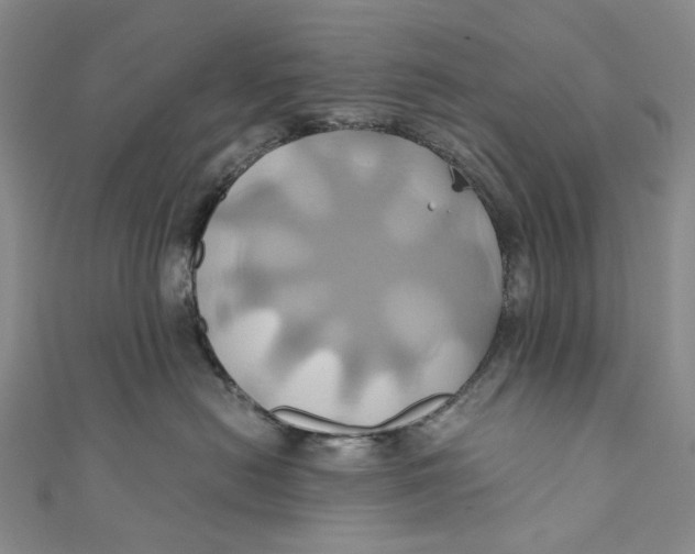 X0000110970478200907101352