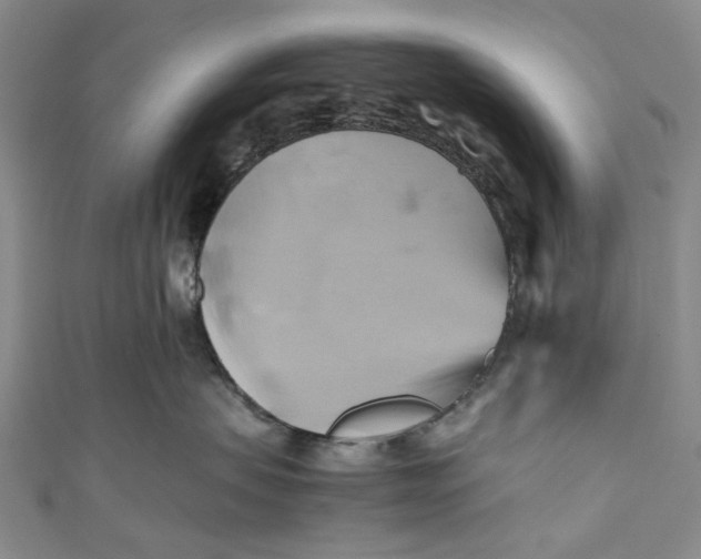 X0000110970479200907101352