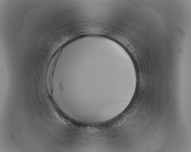 X0000110970481200907101352