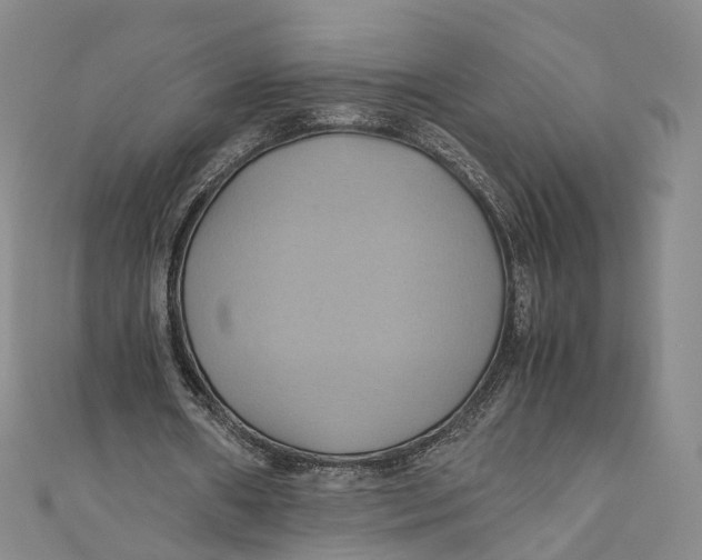 X0000110970482200907101352