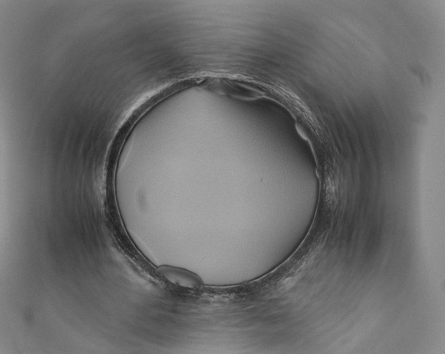 X0000110970484200907101352