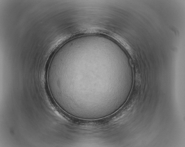 X0000110970485200907101352