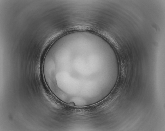 X0000110970486200907101352