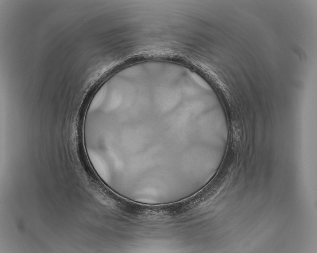 X0000110970487200907101352