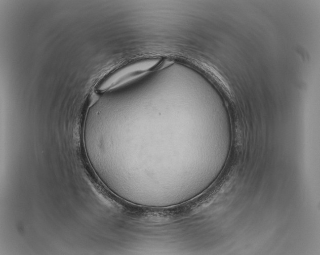 X0000110970489200907101352