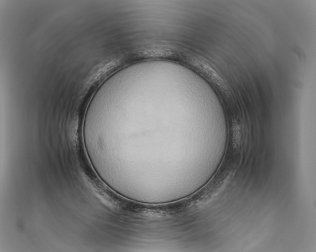 X0000110970490200907101352