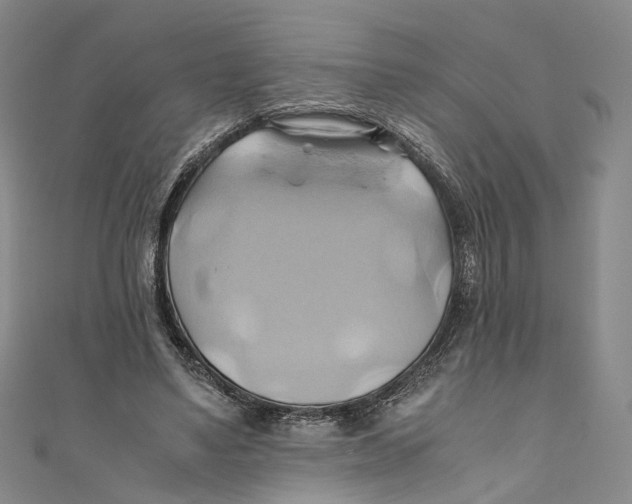 X0000110970491200907101352