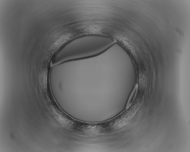 X0000110970493200907101351