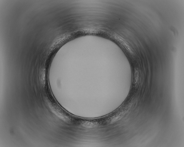 X0000110970494200907101351