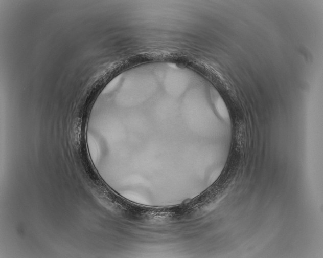 X0000110970495200907101351