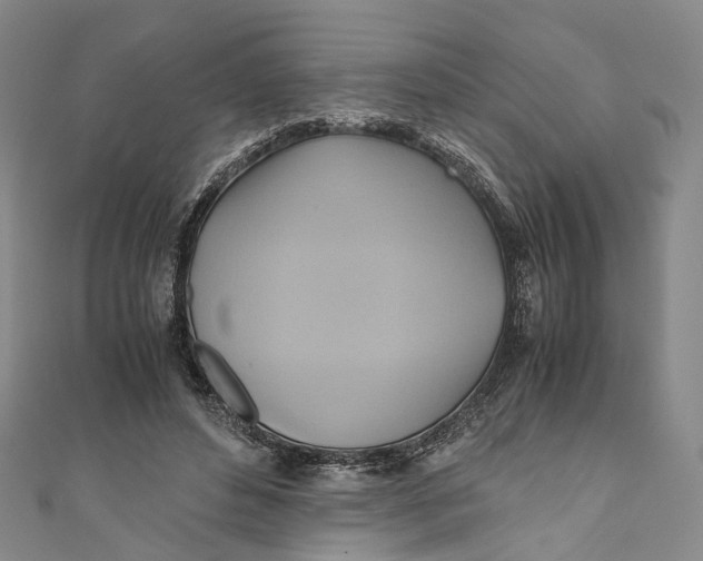 X0000110970496200907101351