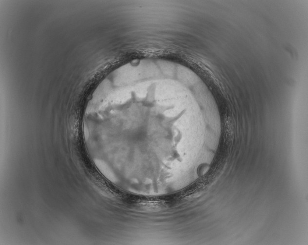 X0000110970499200907101351