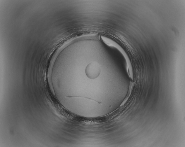 X0000110970500200907101351