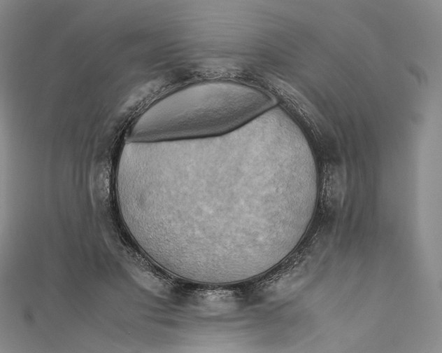 X0000110970501200907101351