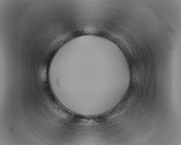 X0000110970502200907101351