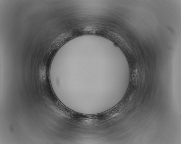 X0000110970504200907101351