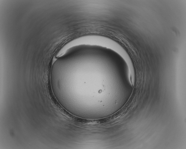 X0000110970505200907101351