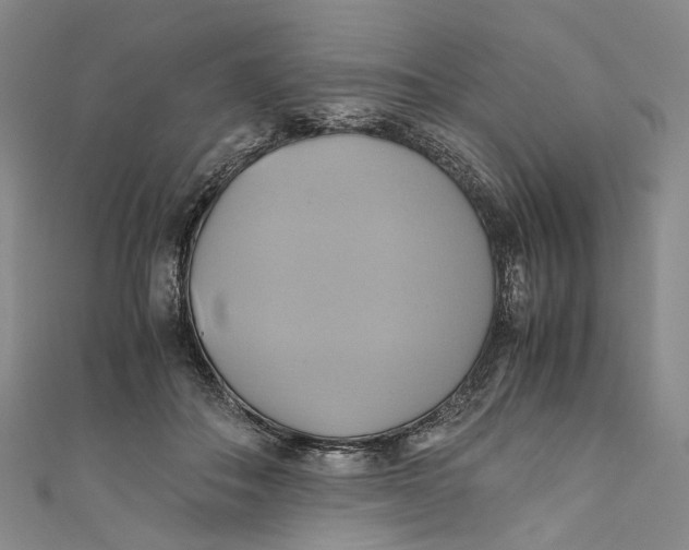 X0000110970506200907101351