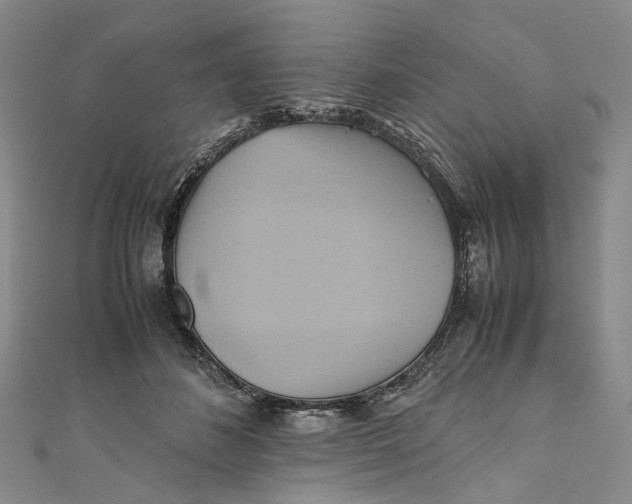 X0000110970508200907101351