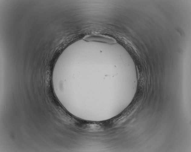 X0000110970509200907101351